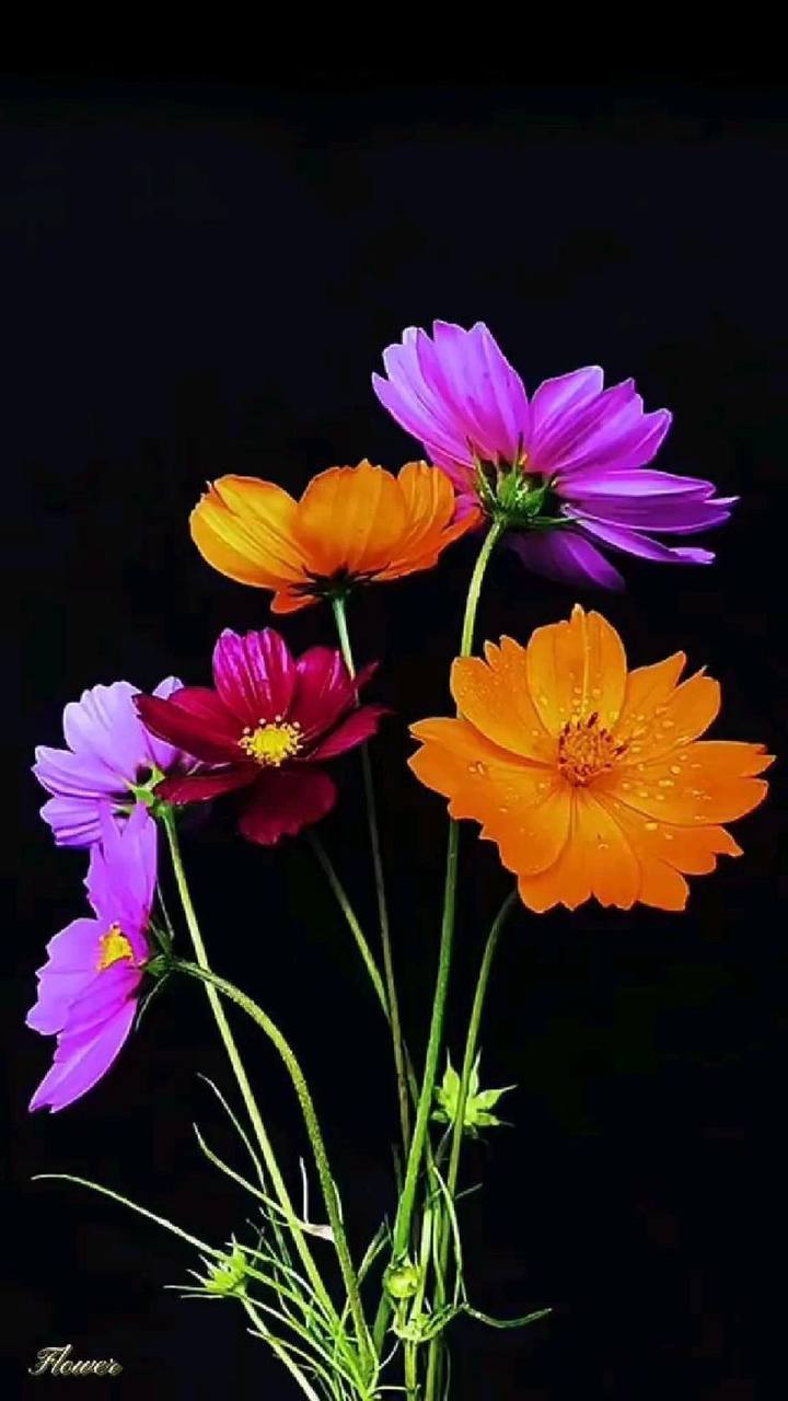 bengala-flowers-umet-tsvety-v-realizme-05