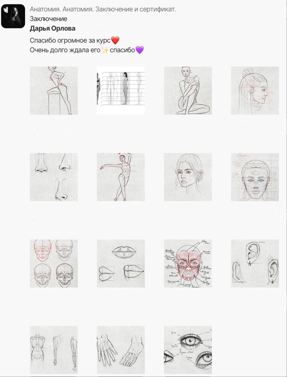 bengala-anatomiya-raboty-uchenikov-10