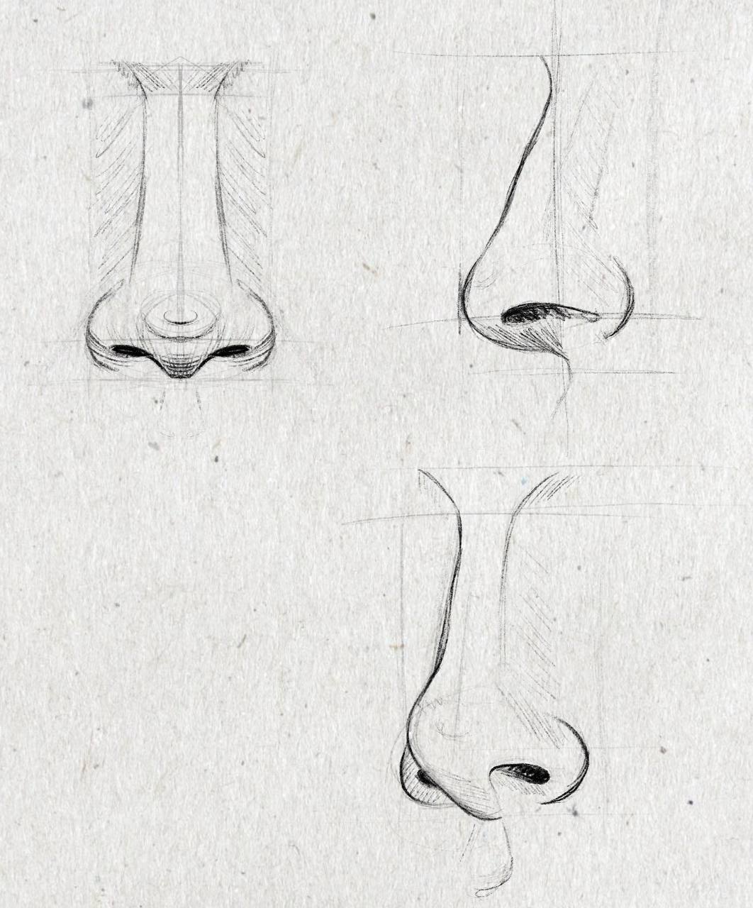 bengala-anatomiya-raboty-uchenikov-16
